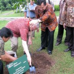 Indonesian tree planting, 2010.