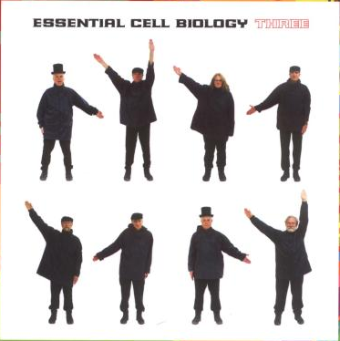 Back cover of Essential Cell Biology, 3rd edition. Help album.