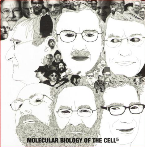 Back cover of MBoC 5th edition