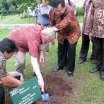 Indonesian tree planting, 2010.